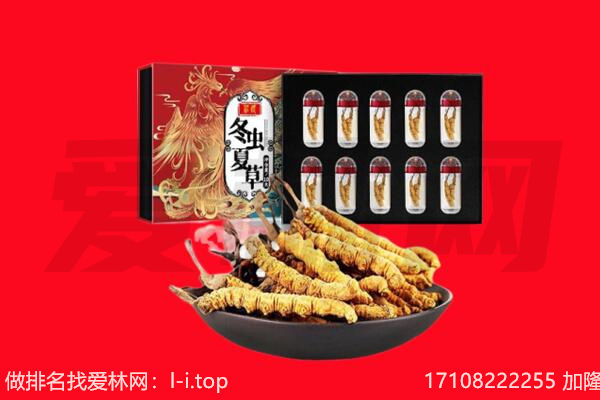安溪县回收虫草.jpg